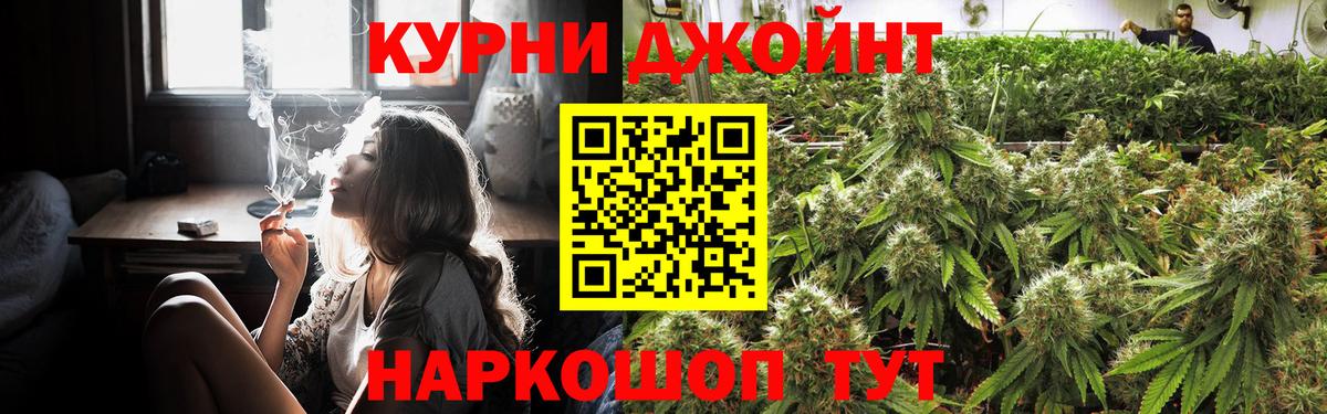 Конопля Ganja  Бошки Шишки семена  Бугуруслан  Марихуана Bruce Banner  Вход с VPN  Каннабис OG Kush 